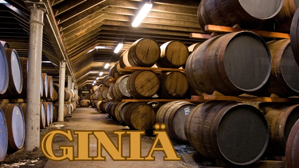 Giniä