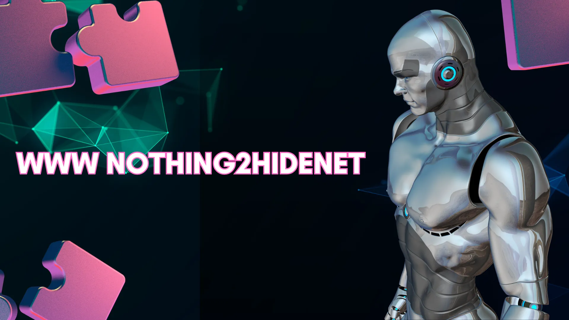 WWW Nothing2hidenet