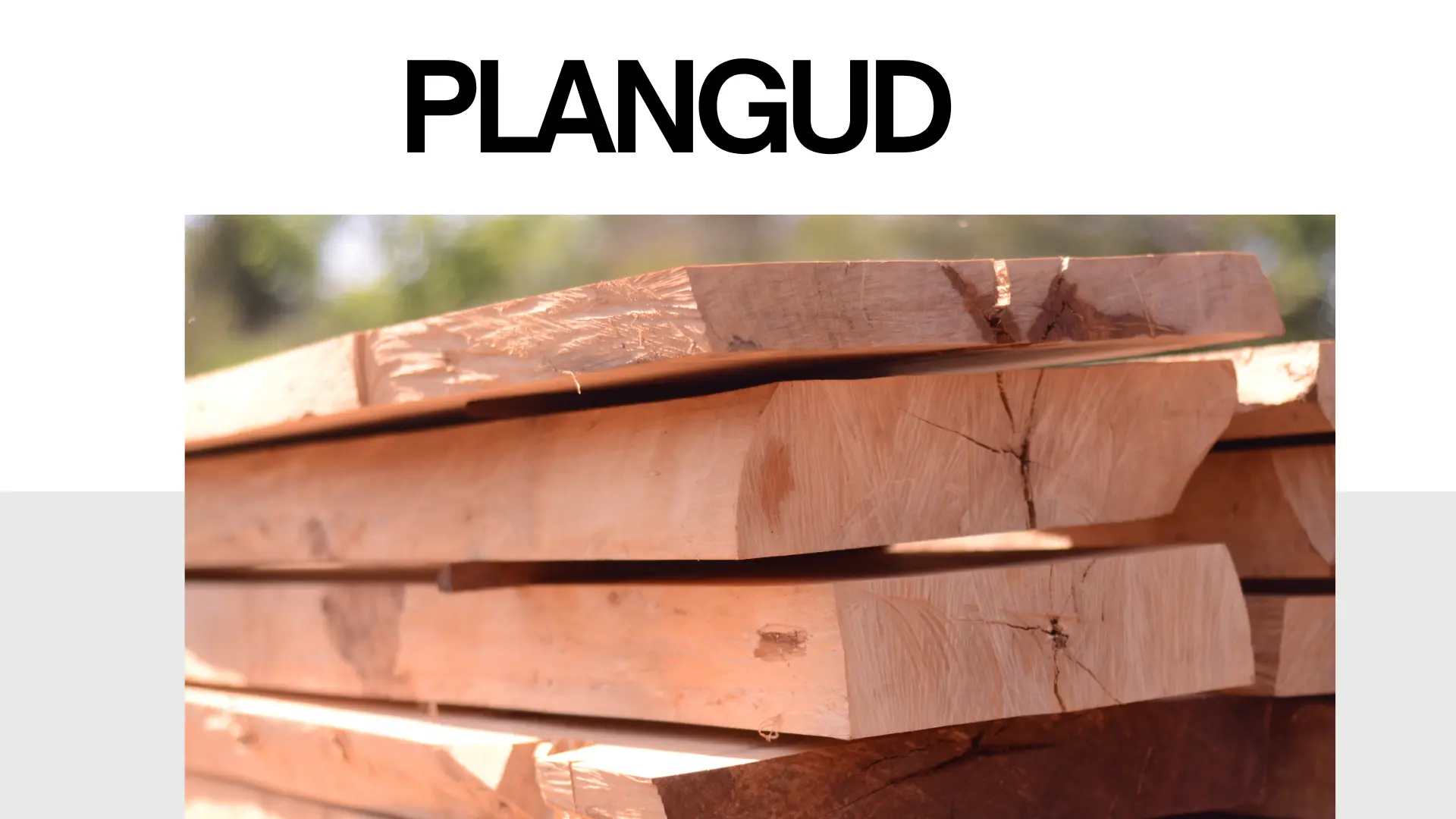 plangud